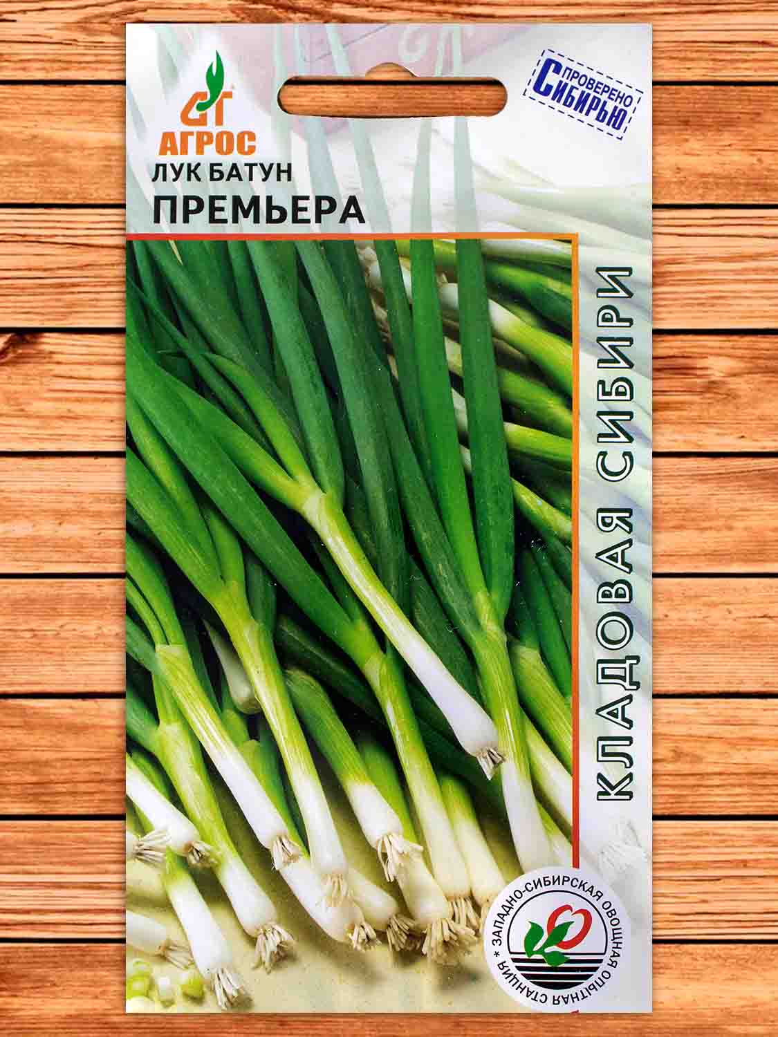 Лук Батун Премьера 1 гр.