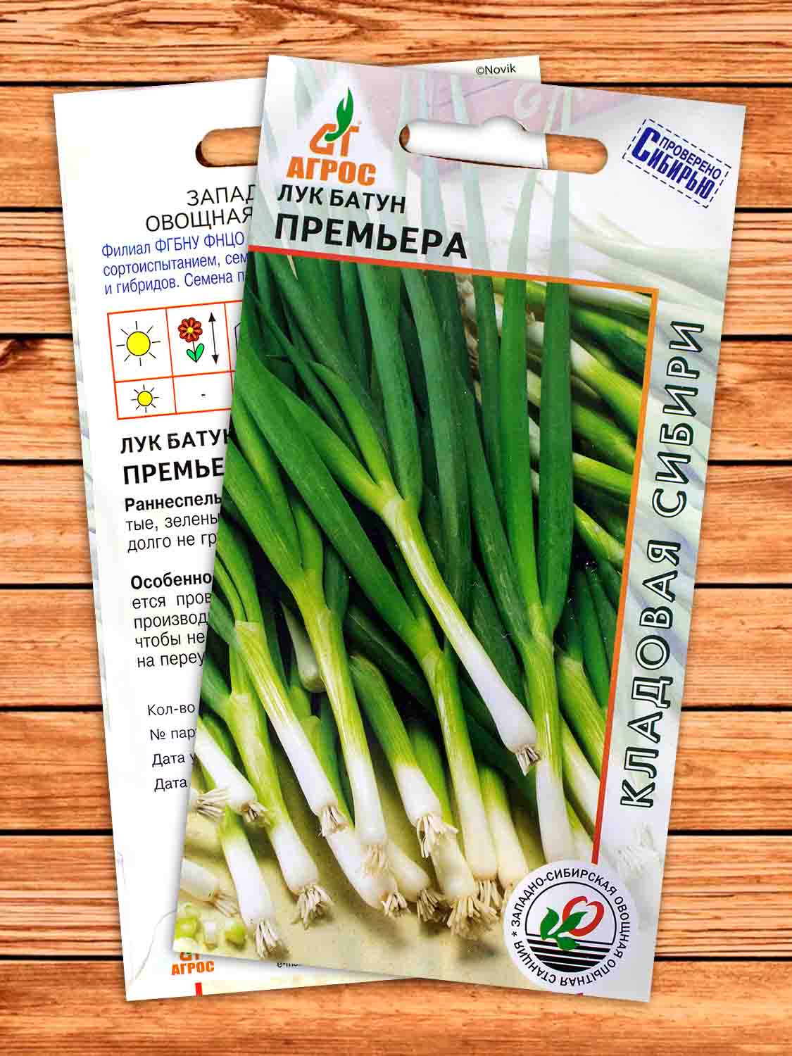 Лук Батун Премьера 1 гр.