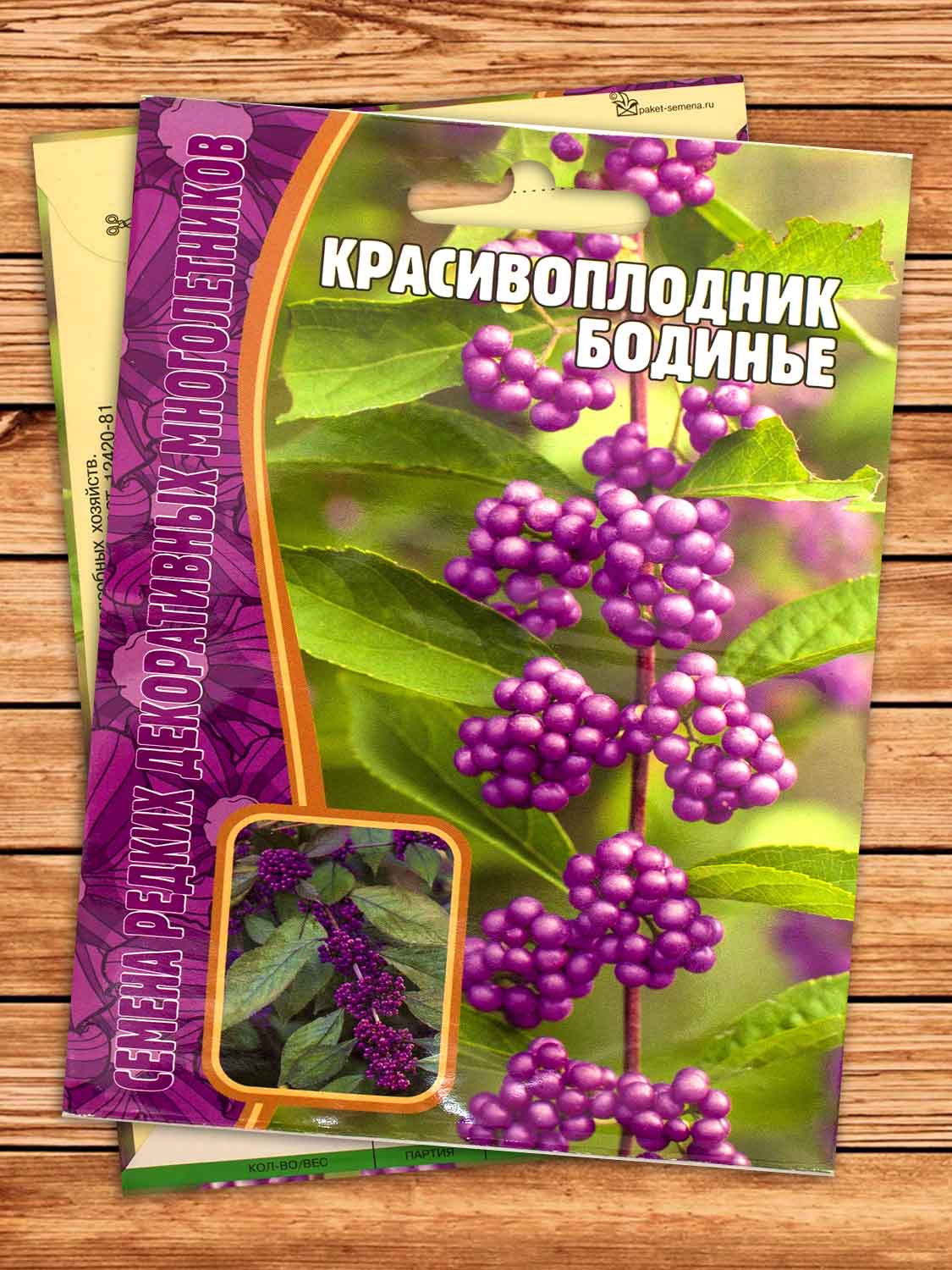 Красивоплодник Бодинье 7 шт.