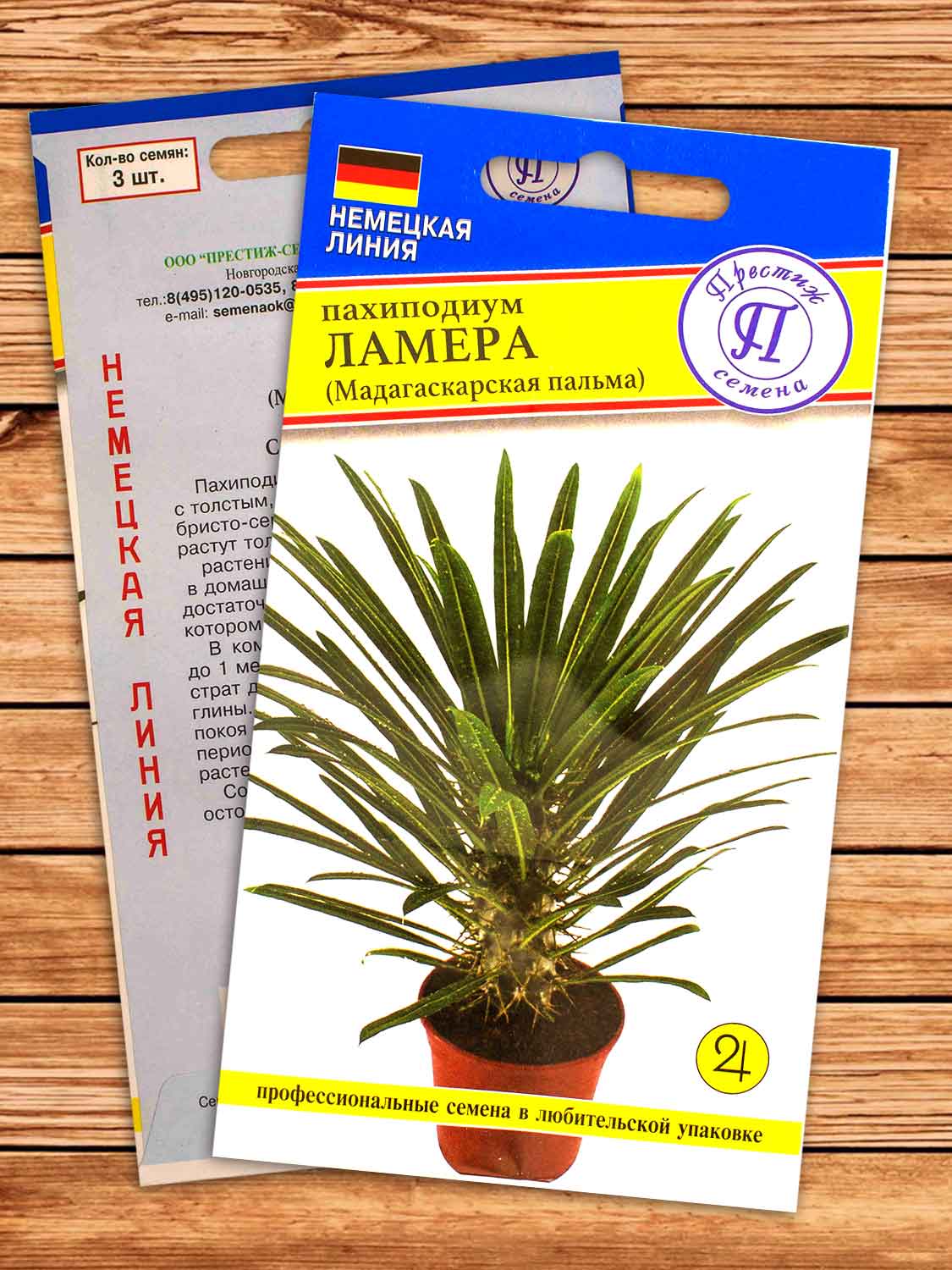 Пахиподиум Ламера 3 шт.